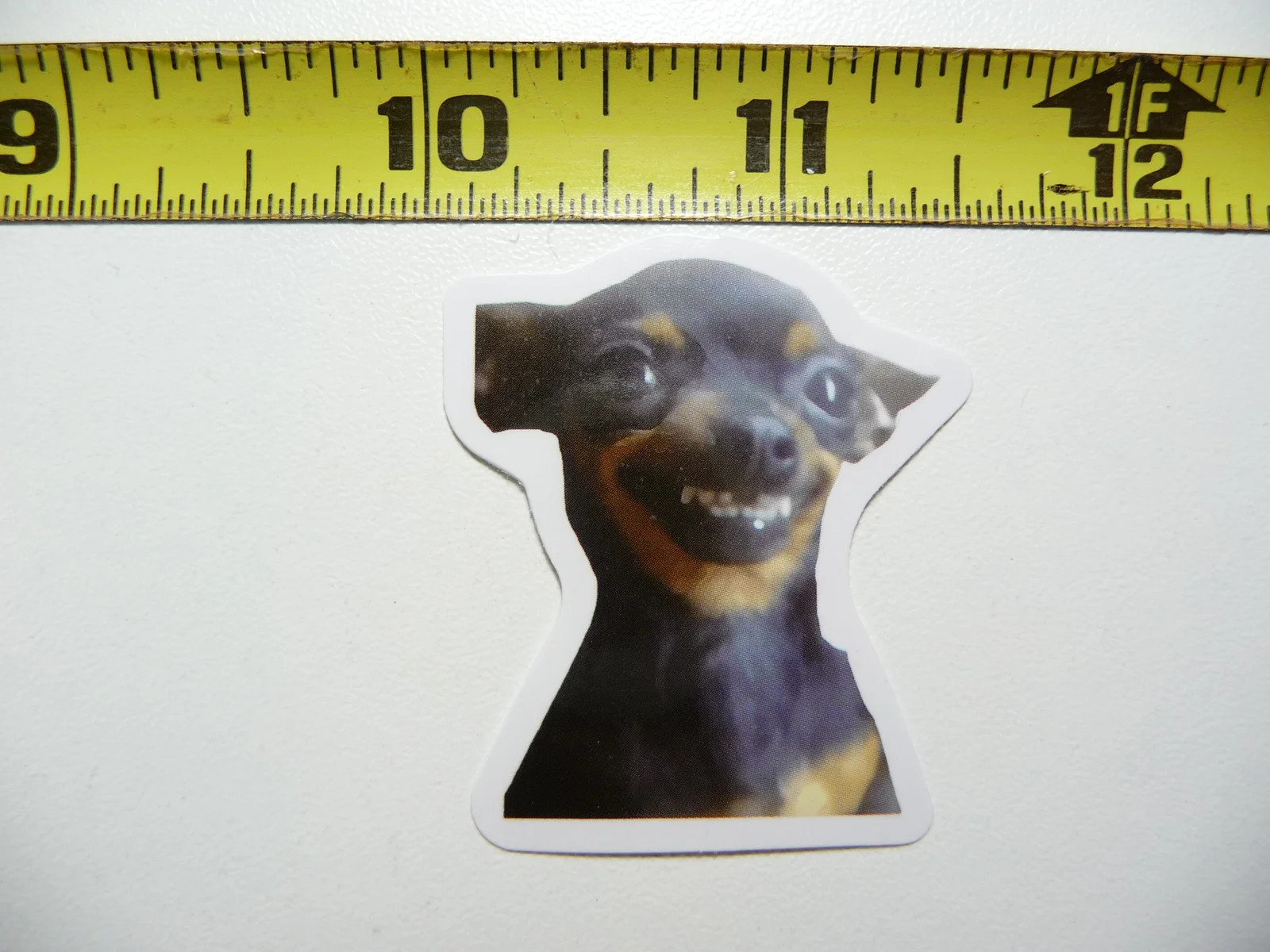 FUNNY DOG SMALL STICKER DECAL AX135 TEETH SMILE SIZE FUN HI PET FUNNY