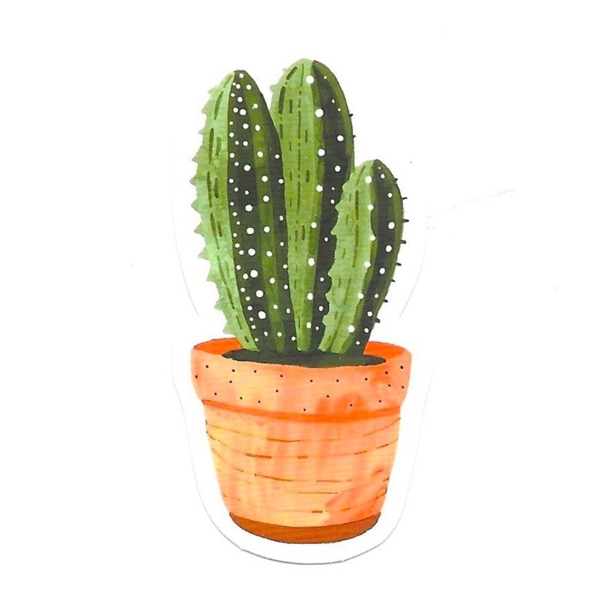 Vinyl Sticker Die Cut Cactus Decal Succulent Desert Plant Journal Scrapbook Cute