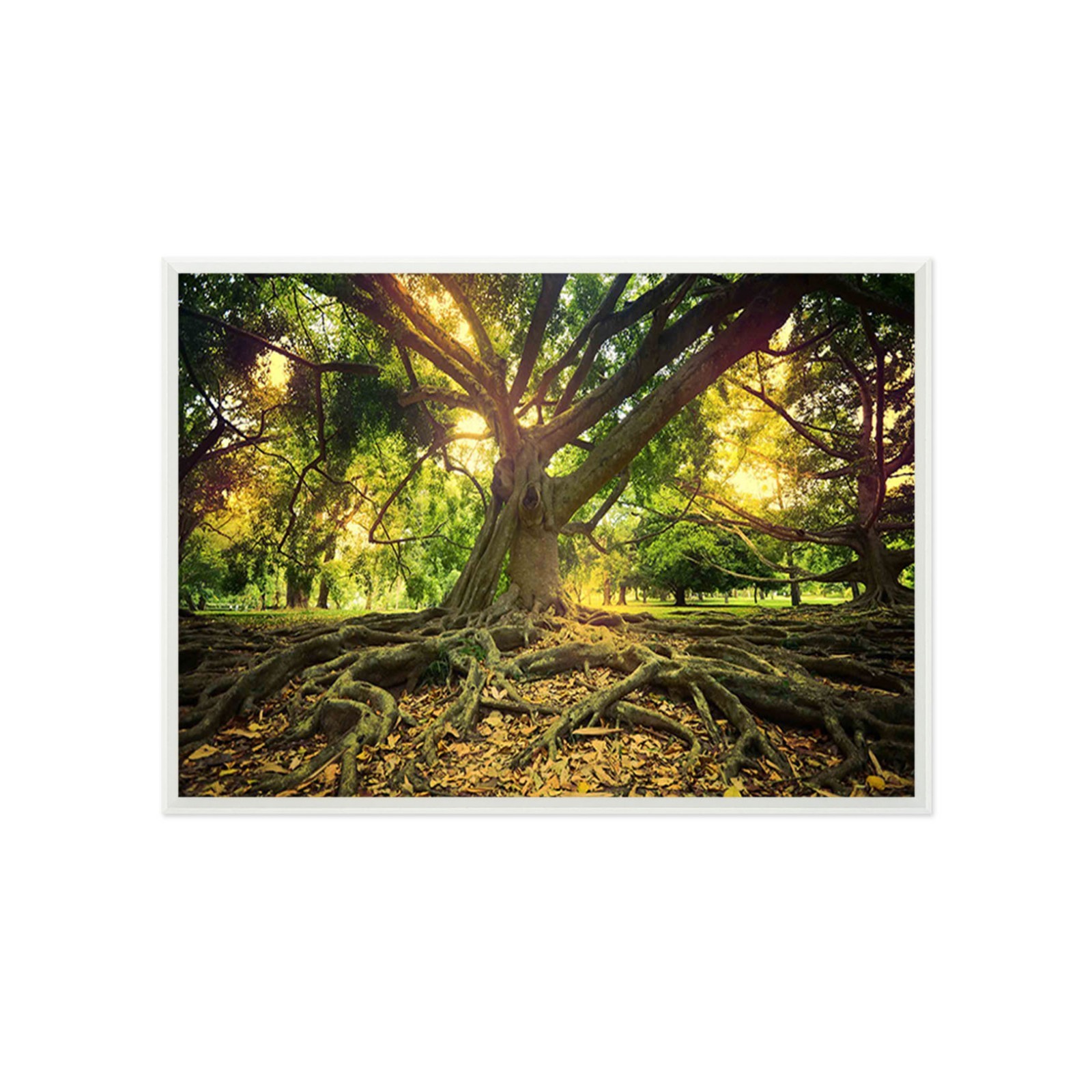 3D Tall Tree 4 Framed Poster Home Decor Print Painting Art AJ WALLPAPER
