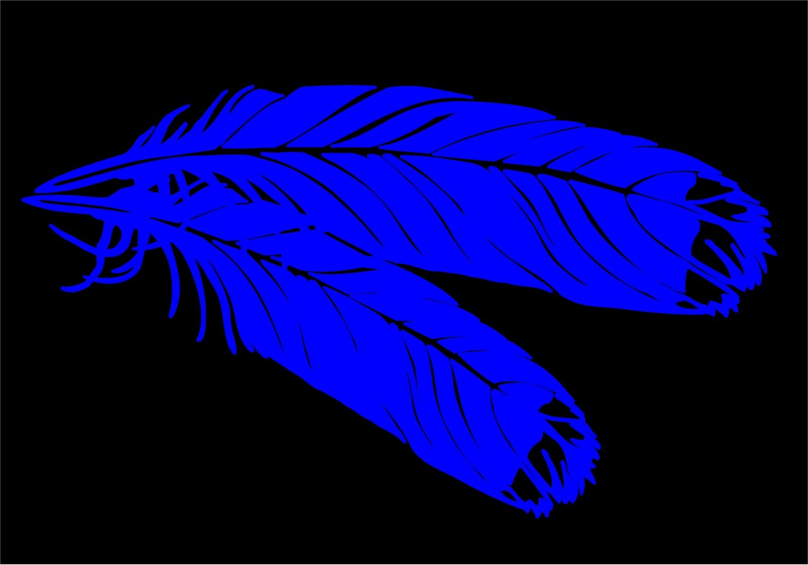 Feathers Decal vinyl bird avian feather car truck window wall sticker graphic