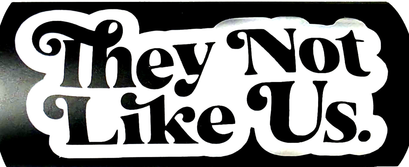 They Not Like Us Vinyl Decal Sticker Waterproof 3×6 Inches White or Black 1/25