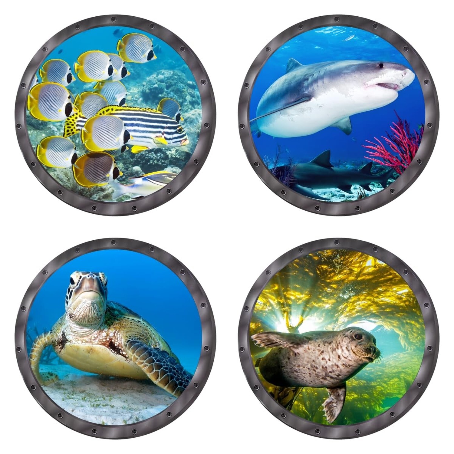 Wall Stickers & Murals, 9 Piece 11-Inch Marine Animal Decals with Porthole De…