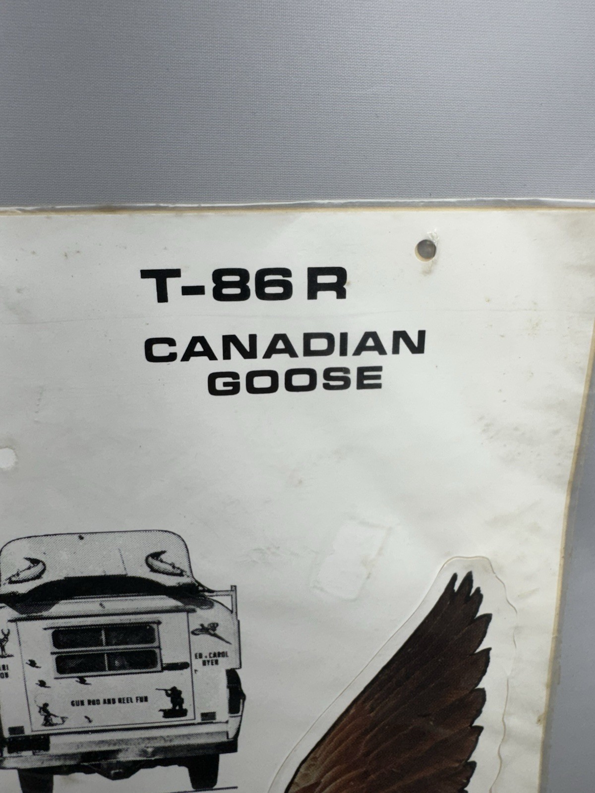 Vintage 12" Dyer Sportcals Hunting Canadian Goose T-86L Vinyl Boat Truck Sticker