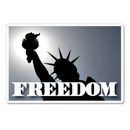 Freedom American Liberty car bumper sticker decal 6" x 4"