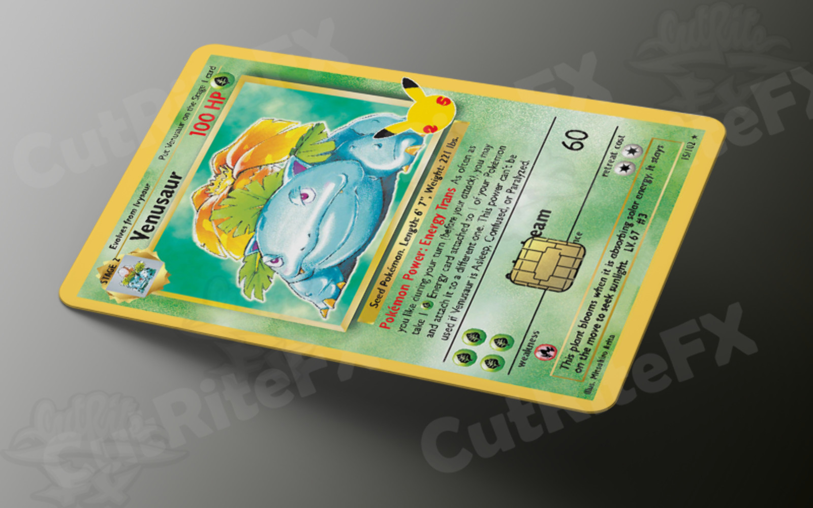 Custom Credit Card Skin