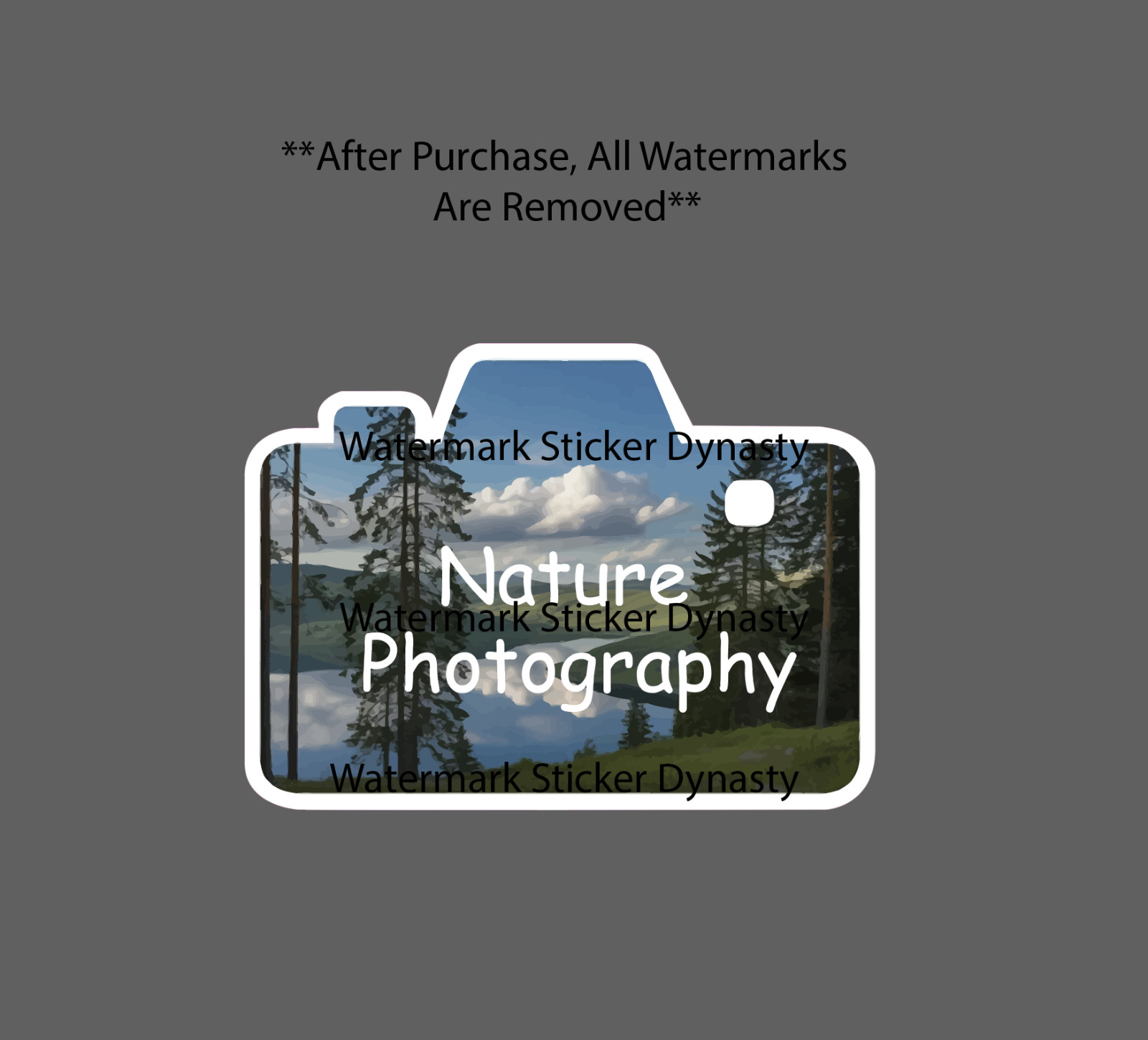 Nature Photography Sticker Waterproof Decal Camera Pictures Travel Gift NEW