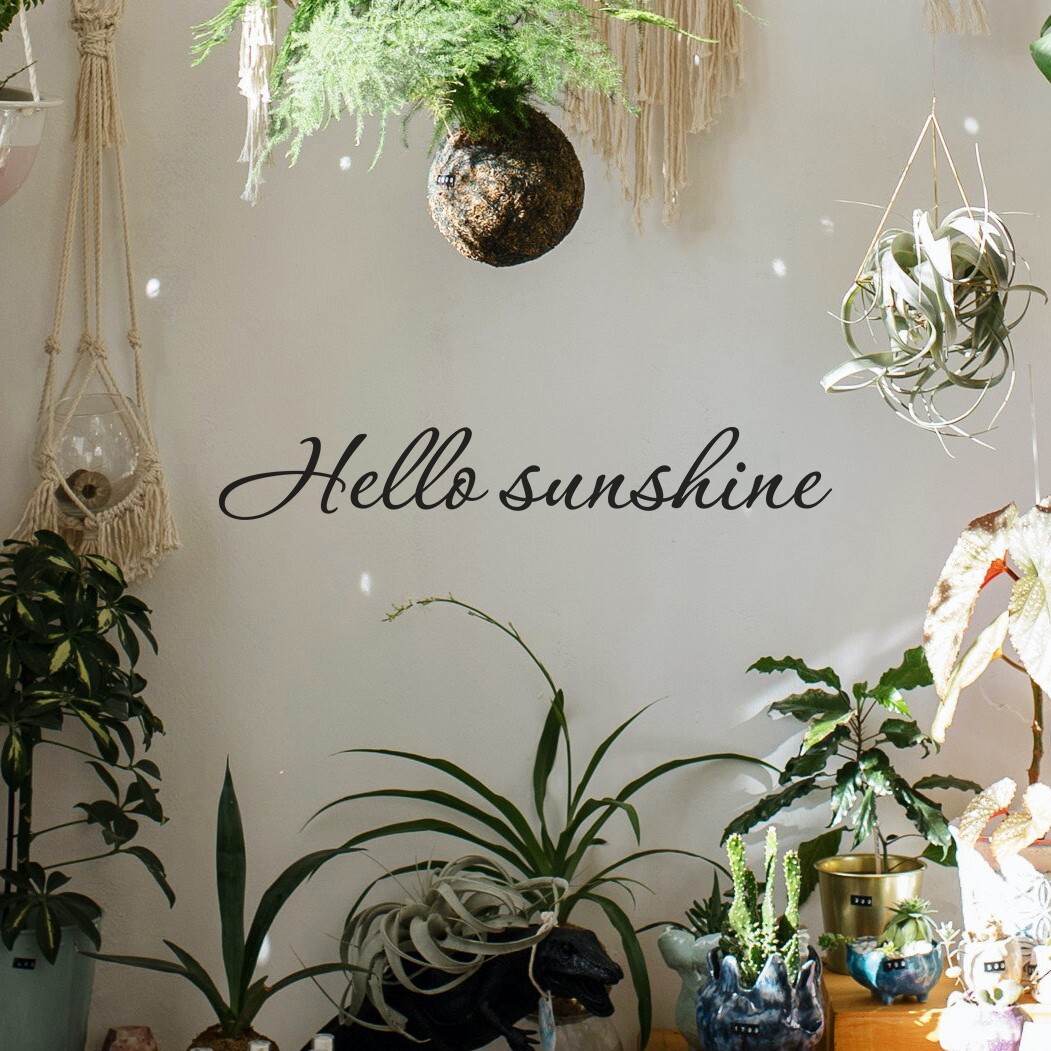 Hello sunshine wall decal love quote sticker for bedroom bathroom 22×4 inches