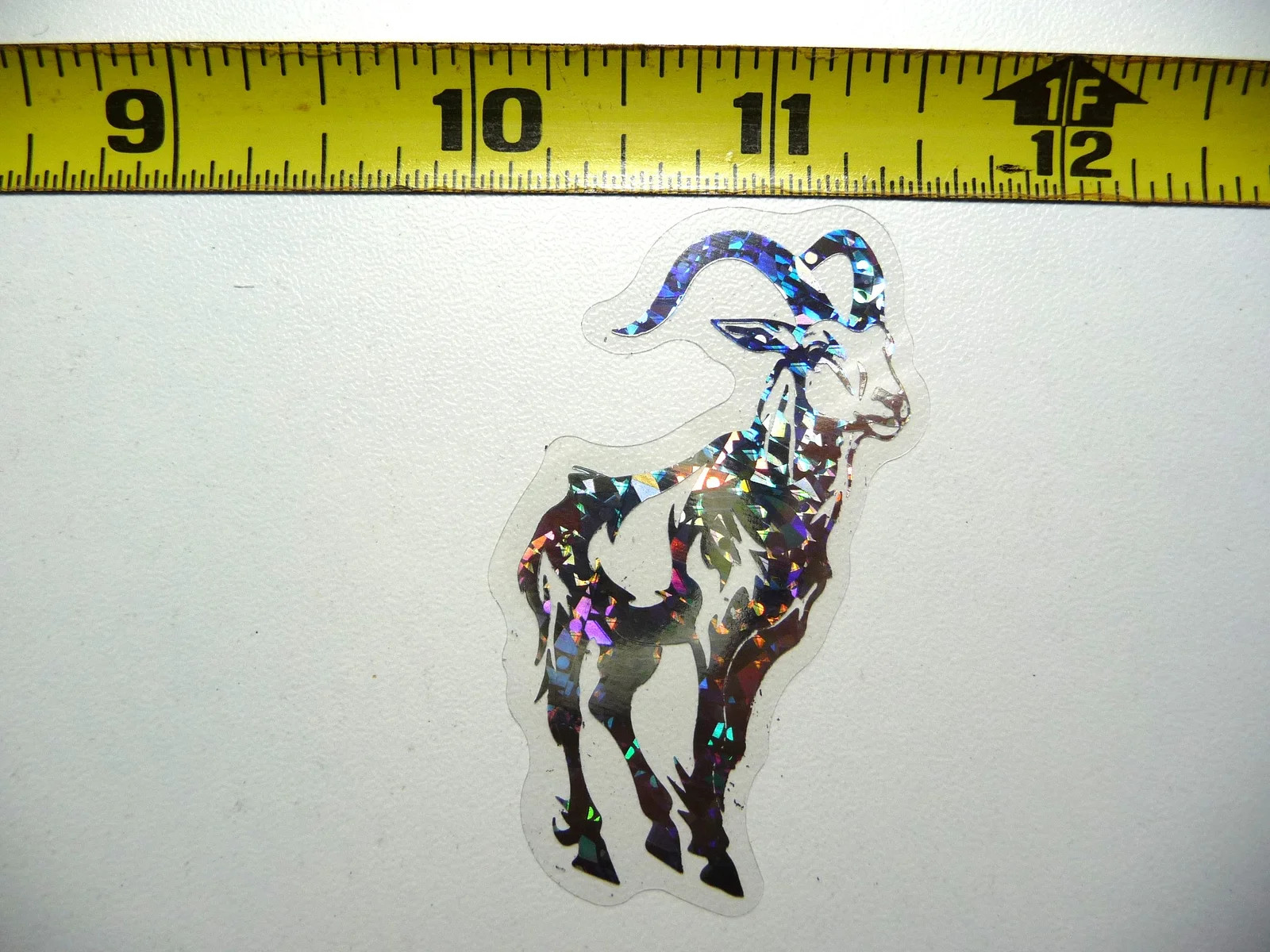 IBEX GOAT HOLOGRAPHIC SMALL STICKER DECAL ZOO ANIMAL WILDLIFE SCRAPBOOKING