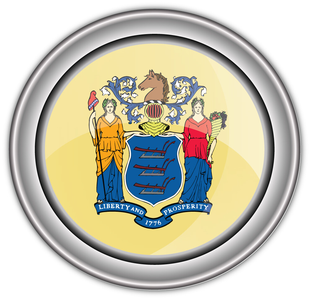 New Jersey USA State Flag Silver Badge Car Bumper Sticker Decal