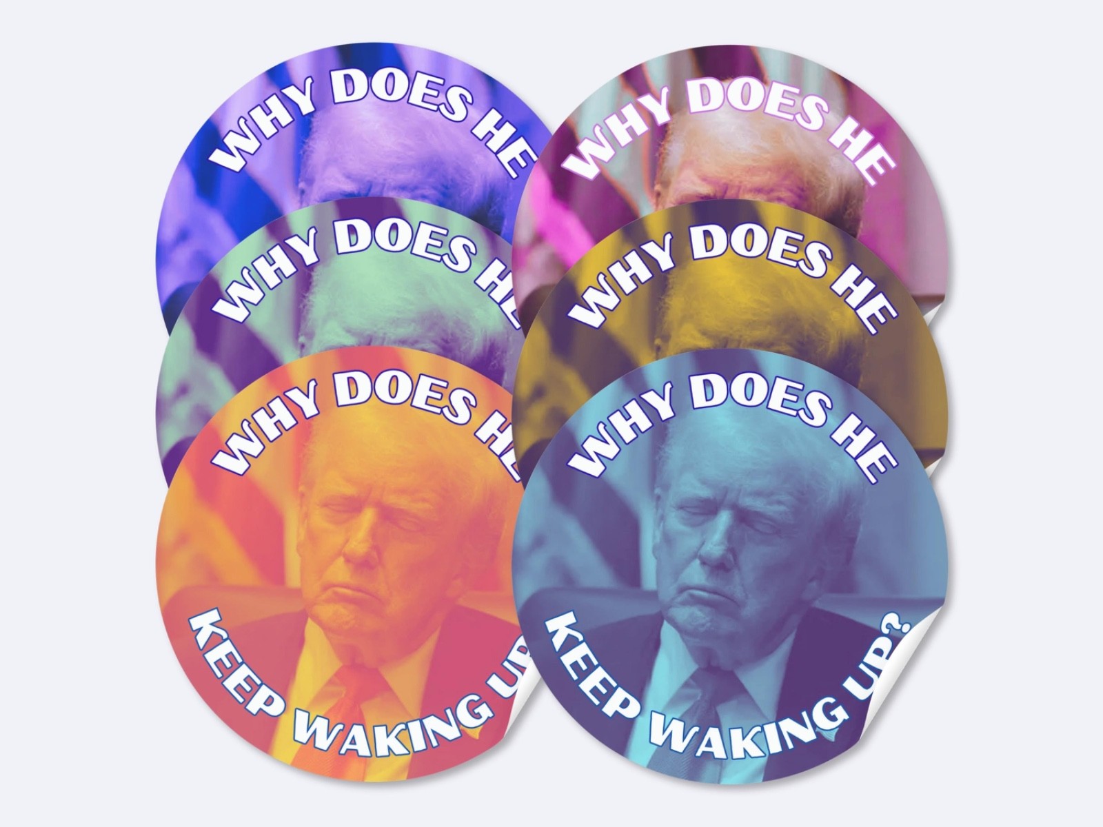 Donald Trump Asleep Stickers 8pc Assorted Anti Trump Political Humor Decals 2"