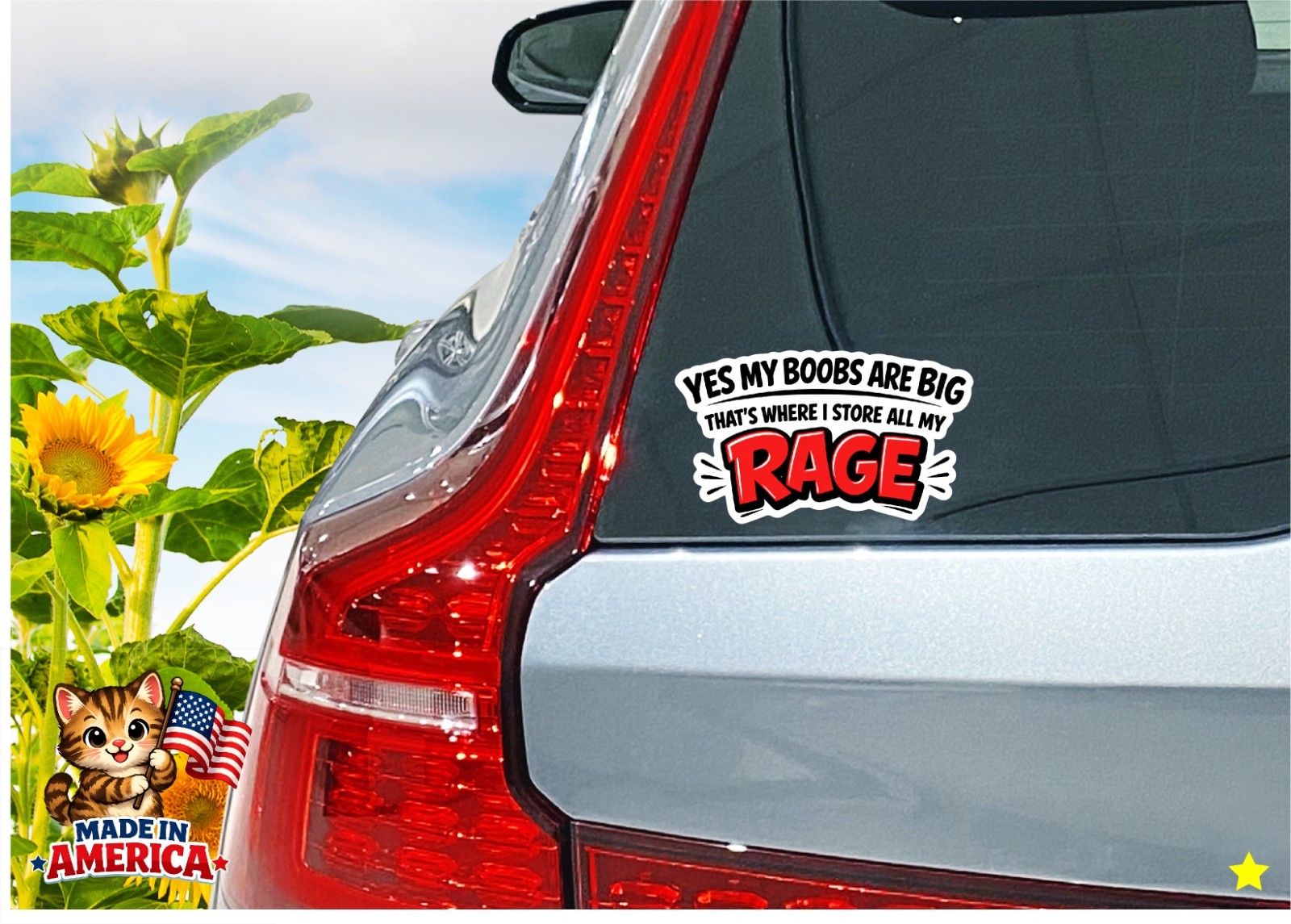 My Boobs are Big I Store My Rage Decal Sticker Funny Women Life Mom Wife Crazy
