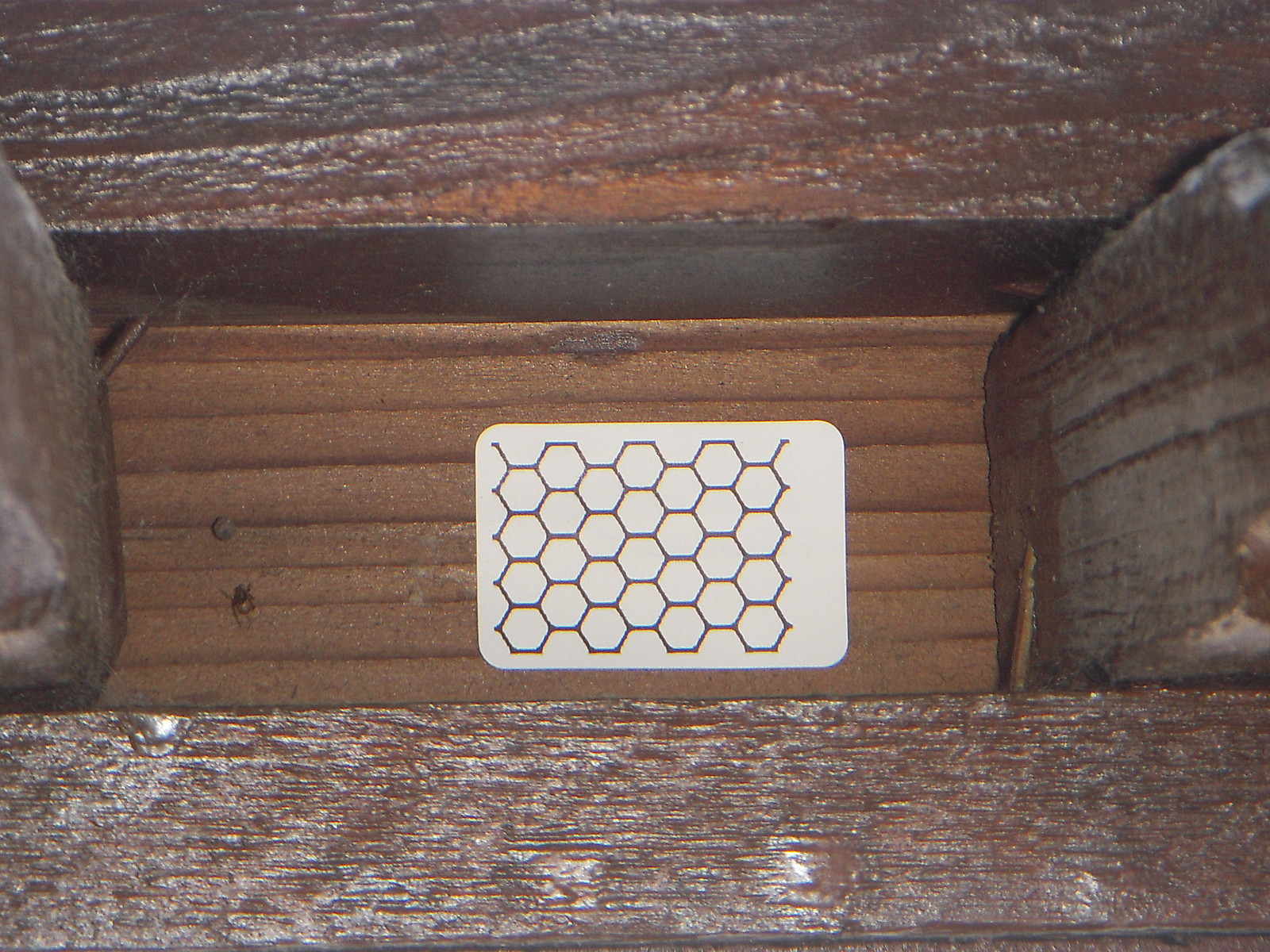 Qty 50 Honeycomb Sticker Prevent Yellow Jacket Bee Hornet Wasp Nest NO Chemicals
