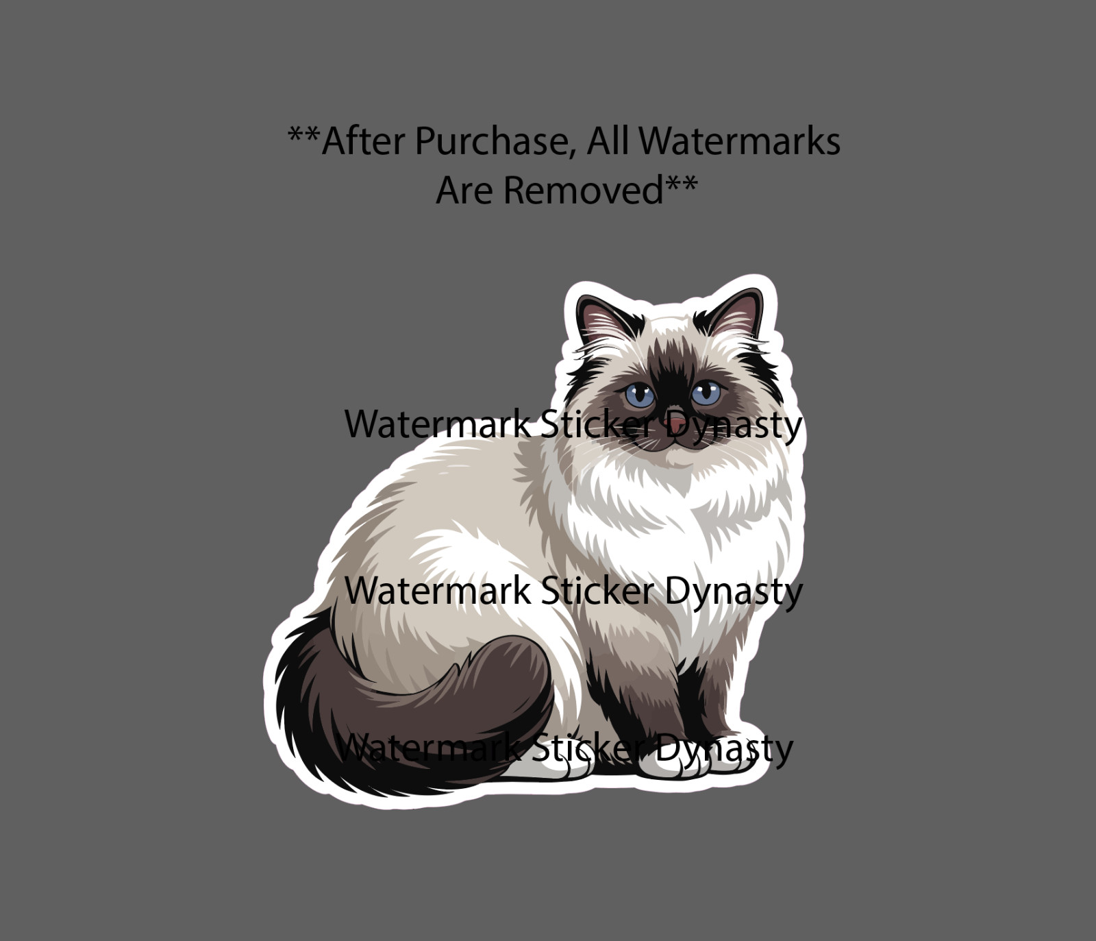 Ragdoll Cat Sticker Waterproof Decal Animal Pet Family Friend Cute Gift NEW