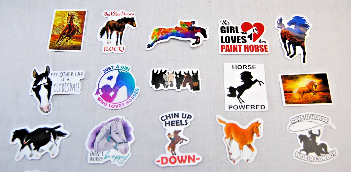 Horse Stickers for Laptop, Water Bottles Plus for Kids to Adults 200Pcs T2694