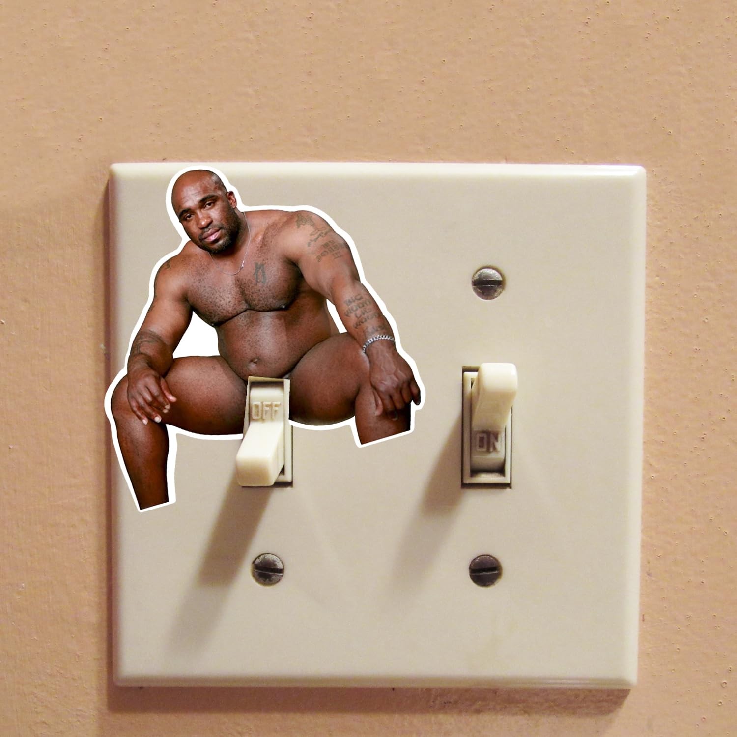 GRITKULTURE Funny Barry Wood Light Switch Decal Sticker 10 Pack for Wall Mura…