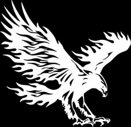 Bald Eagle Flying Bird Wall Car Truck Window Laptop Vinyl Sticker Decal