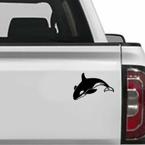 4" X 6" Killer Whale Vinyl Decal Sticker for Cup Home Window Wall Door Laptop