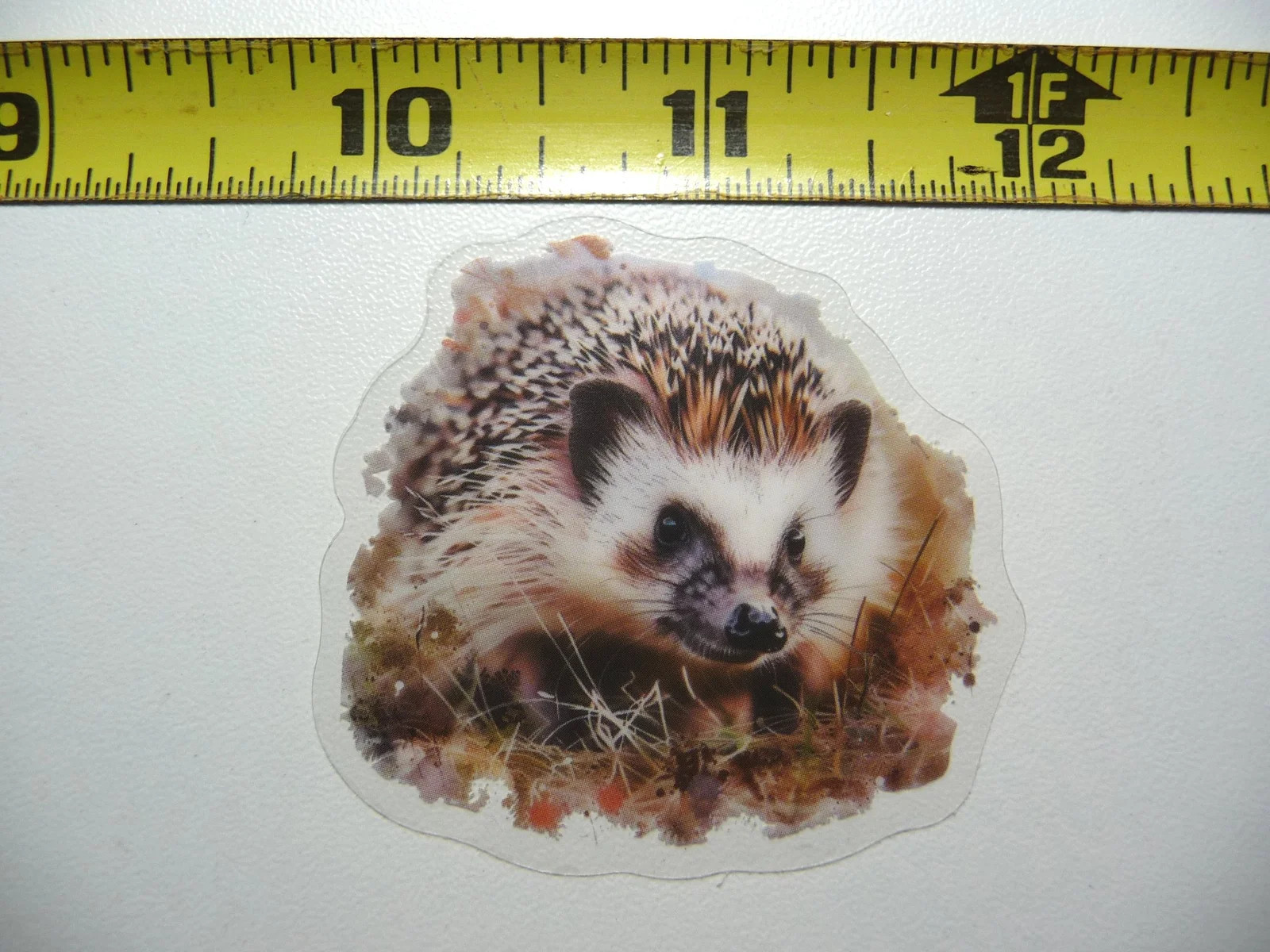 HEDGEHOG SMALL STICKER DECAL WILDLIFE COLORFUL ZOO FUNNY