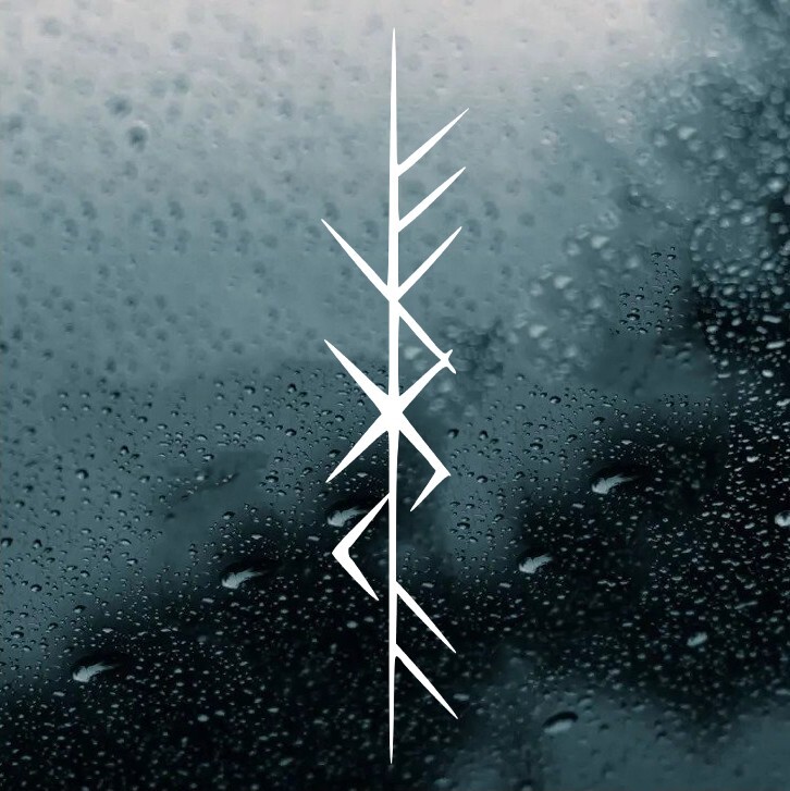 Fylgia Bind Rune Vinyl Decal | Viking Spirit Fate Bindrune Norse Mythology
