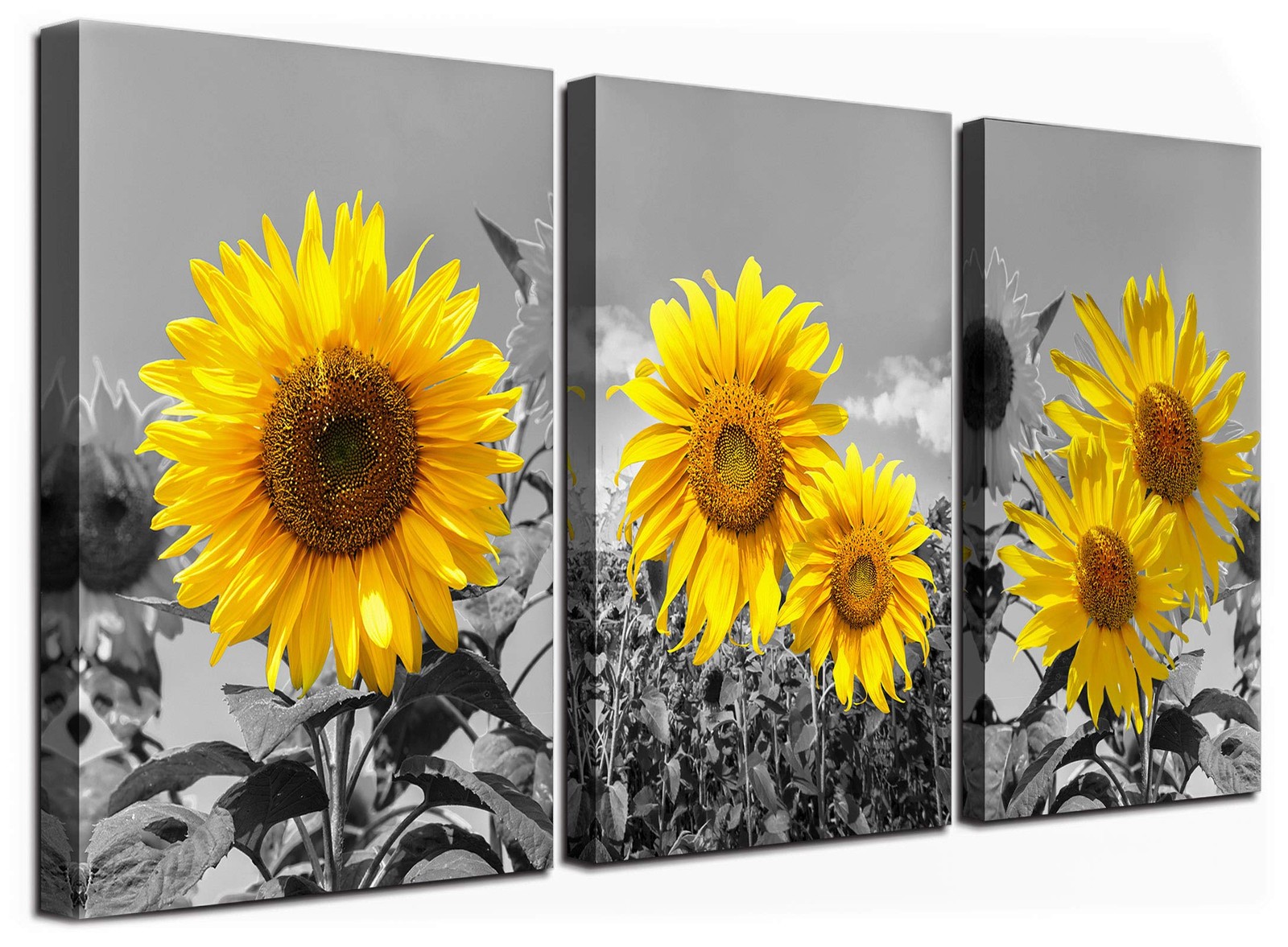Sunflower Wall Art for Living Room Black White Flowers Wall Decor Yellow Flor…