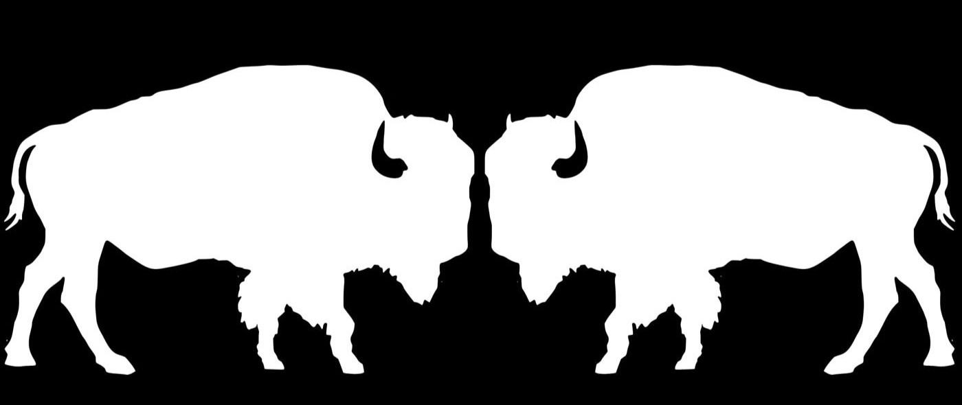 Bison Buffalo Two5" Decal Car Truck Tumblers Laptop Windows Any Flat Surface