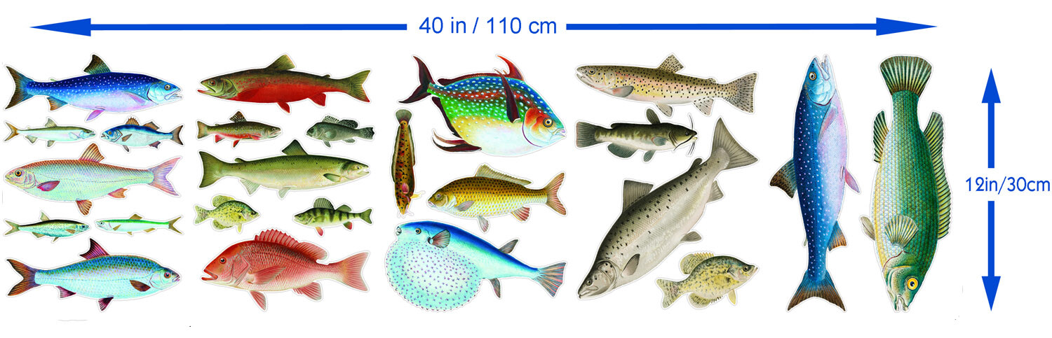 Vinyl Wall Stickers/VINTAGE COLORFUL FISH/Waterproof, Outdoor, Wall-Safe