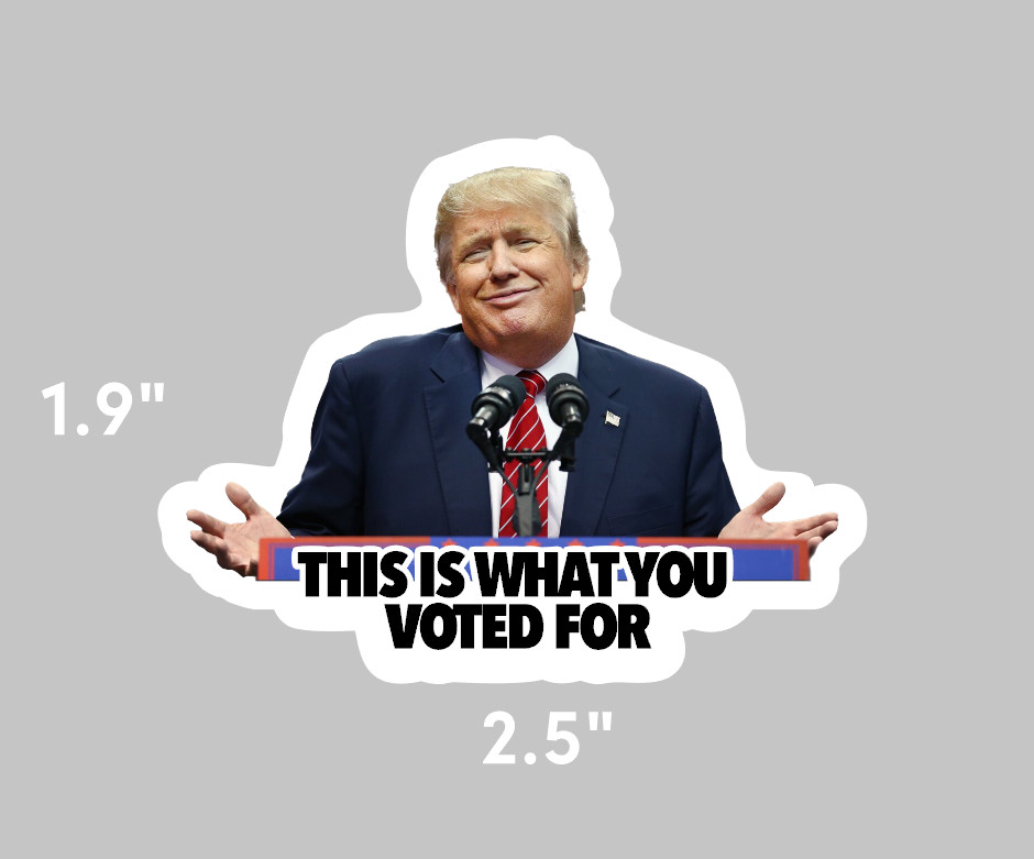 Trump Sticker -"This is What You Voted For" Anti-Trump Political Meme – 12 pack