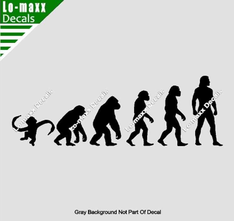 Evolution Of Barrel Of Monkeys Funny Ape To Man Vinyl Decal Sticker Art