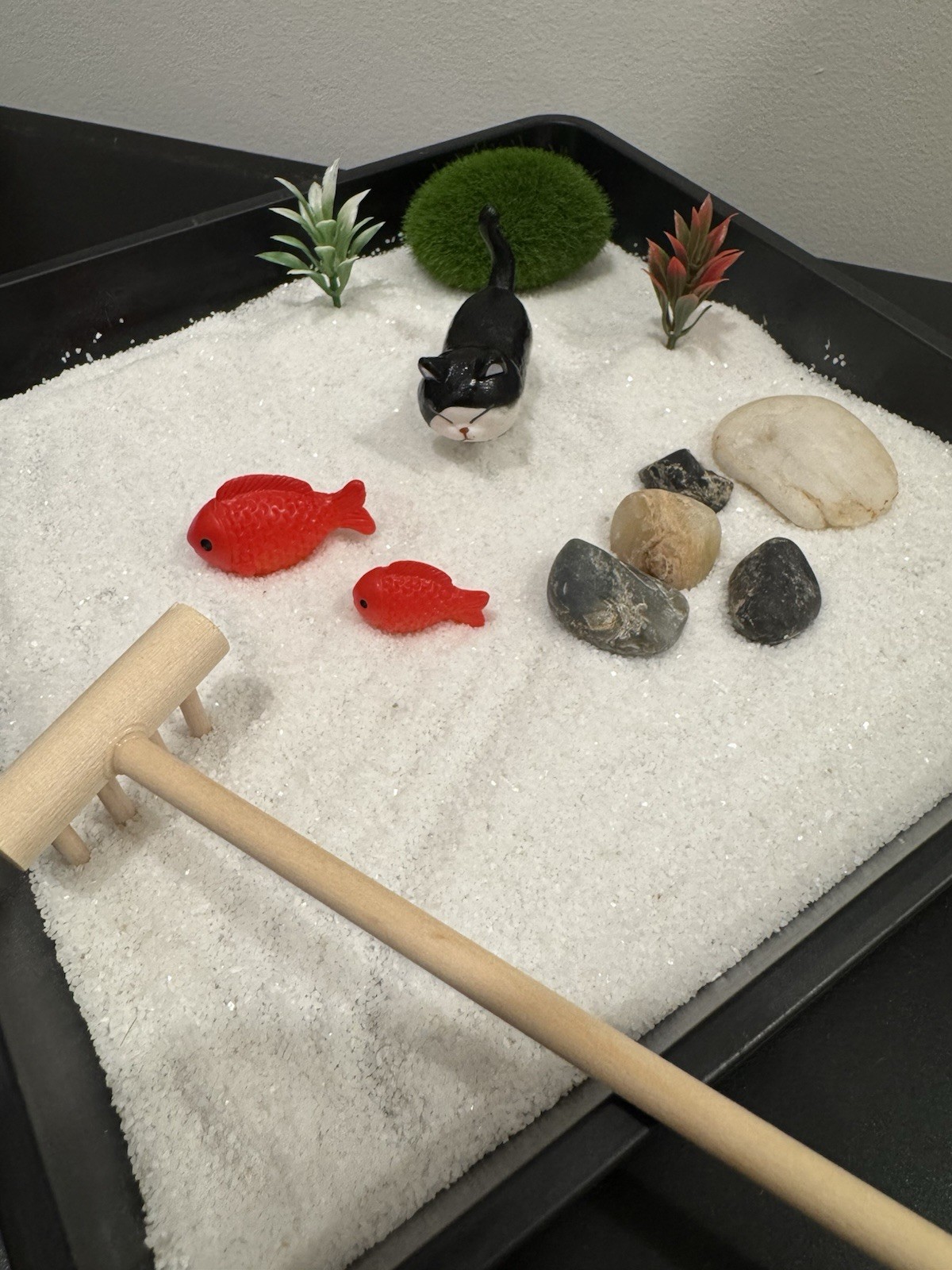 Cat Koi Fish Zen Garden 7 Inch by 7 Inch – with Random Cat Style Design New Gift