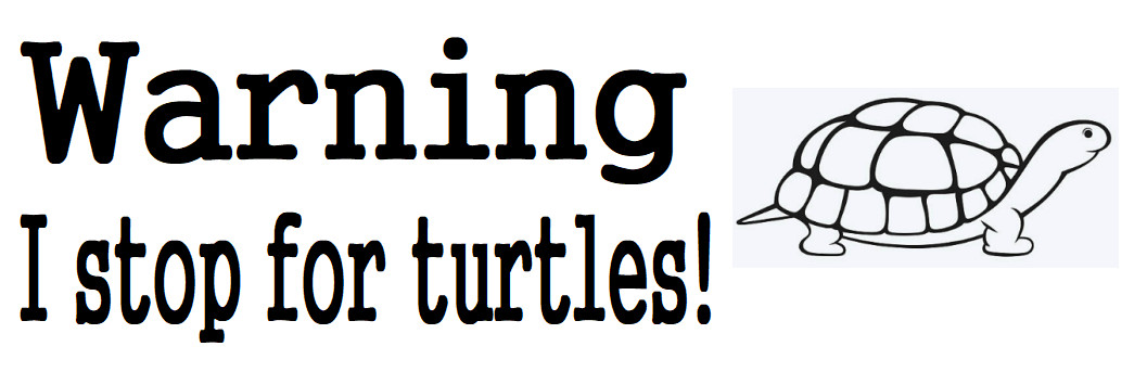 Warning I stop for turtles! ~ Bumper Sticker ~ 9" Long White With Black Letters