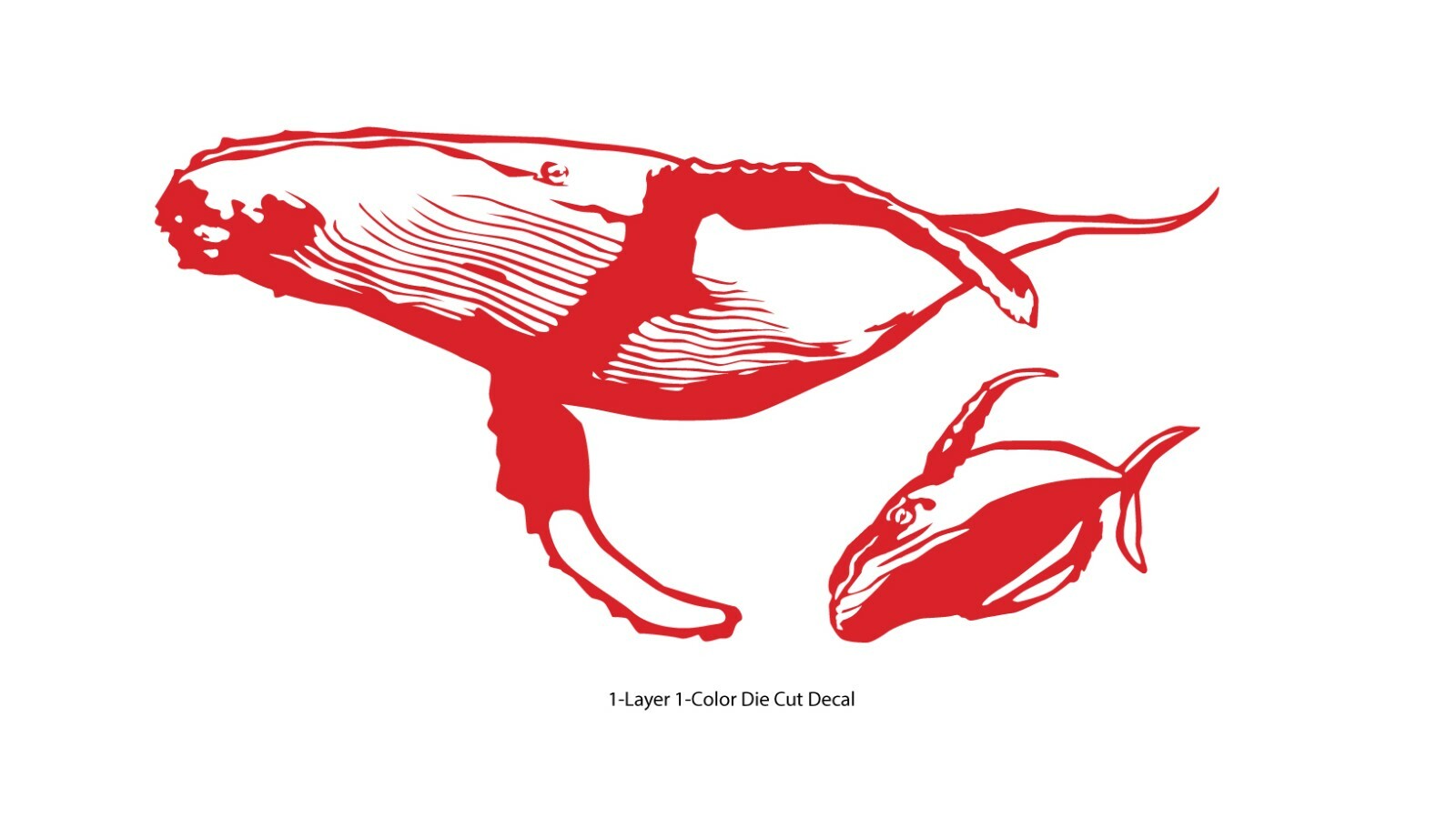 Sea life – Ocean Gray Whale 1 Outdoor Window Decal Vinyl Sticker 6Yrs Film