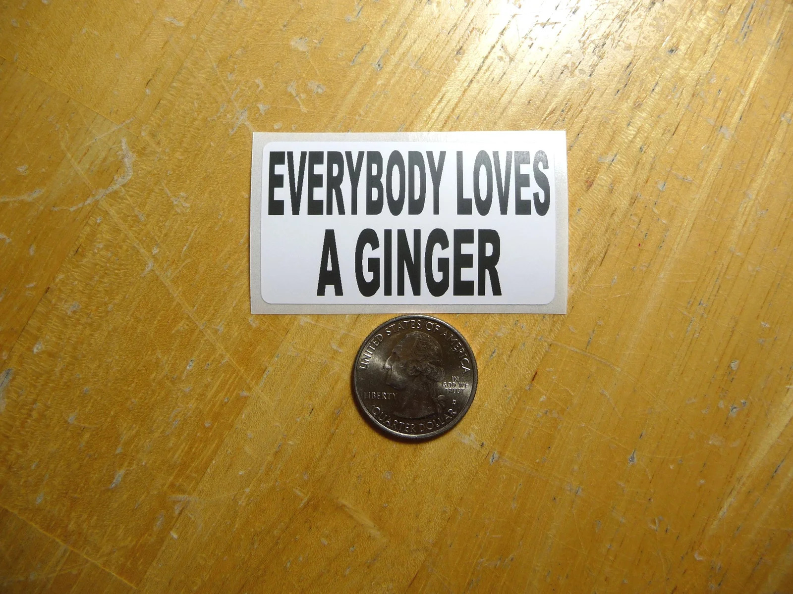 EVERYBODY LOVES A GINGER STICKER DECAL 1 – 50 BULK PACK FUNNY REDHEAD PRANK