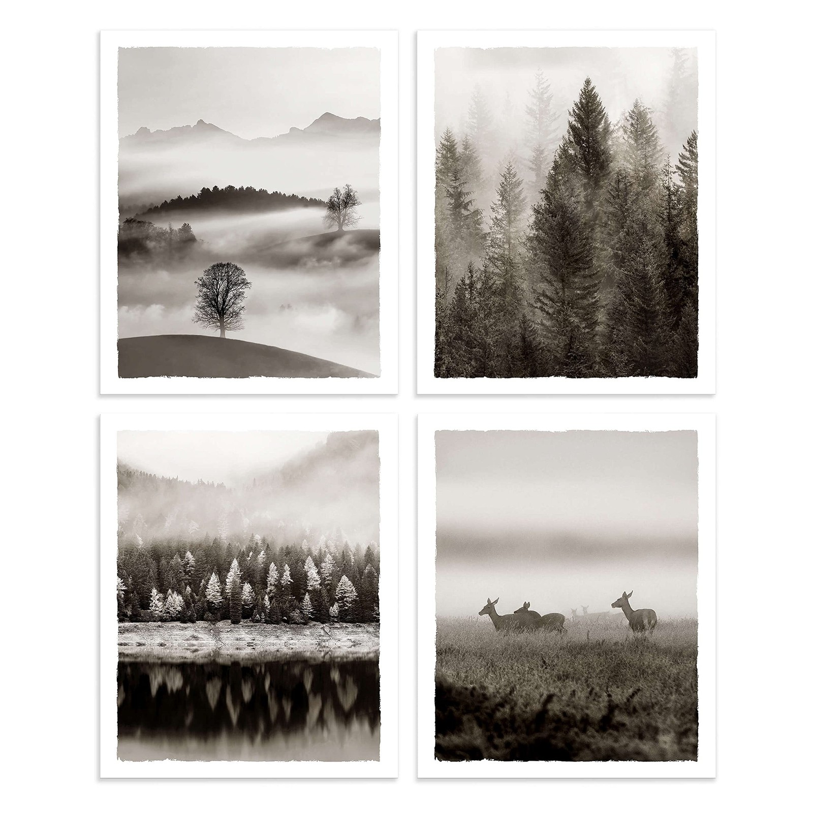 Nature Landscape Pictures Wall Art – Foggy Forest Tree Mountain Prints Wild A…