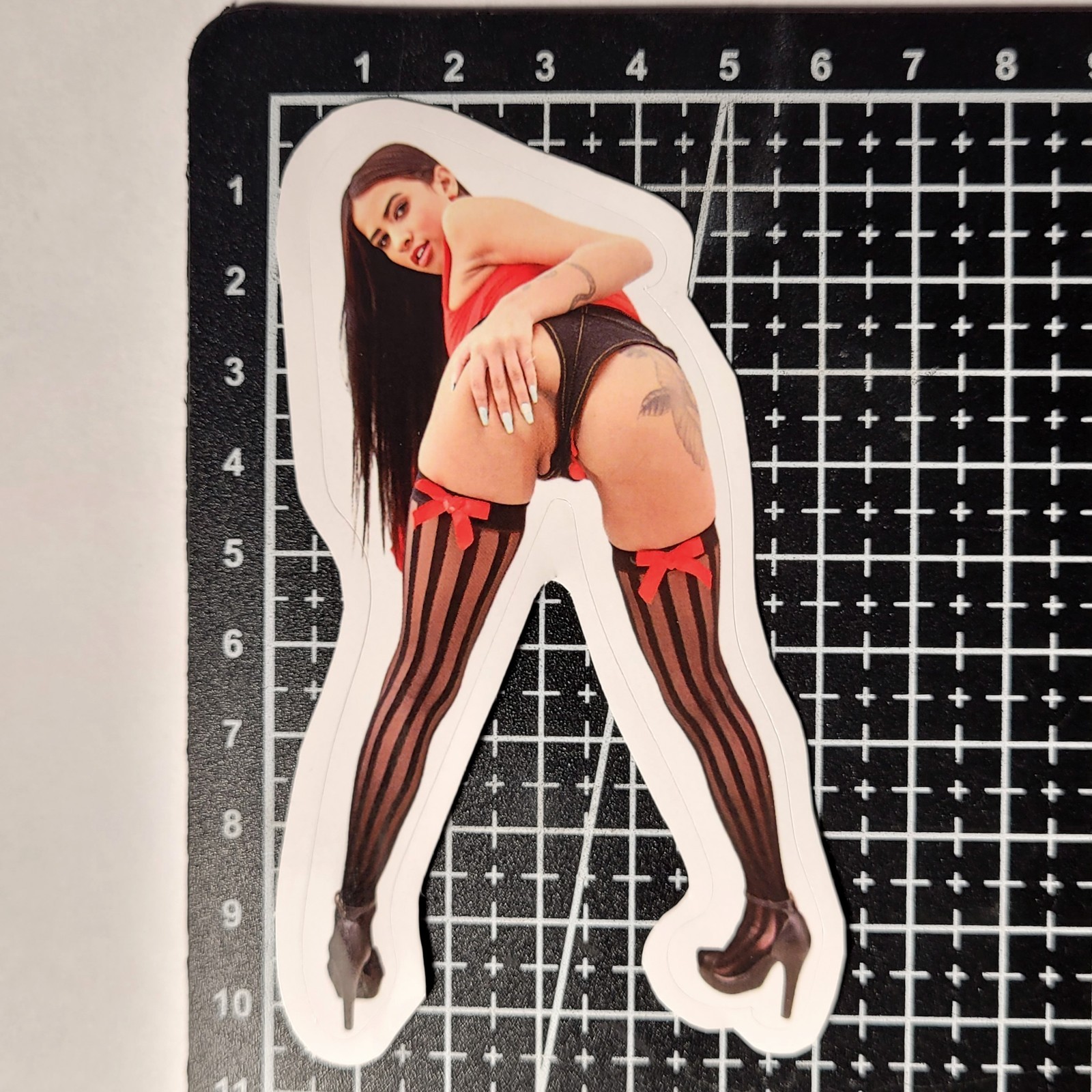 + BONUS Adult Film Actress Vinyl 13 HD Stickers Lot Booty PAWG Sexy Erotic Decor