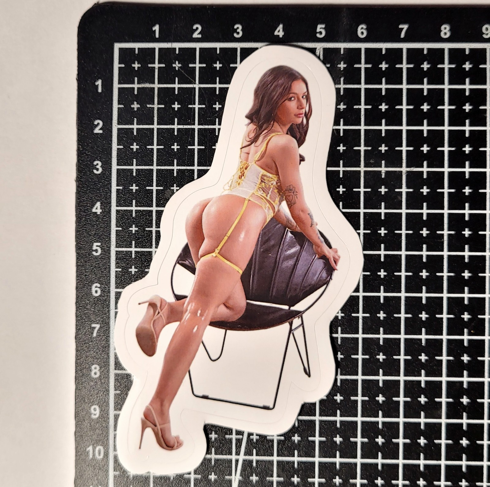 + BONUS Adult Film Actress Vinyl 13 HD Stickers Lot Booty PAWG Sexy Erotic Decor
