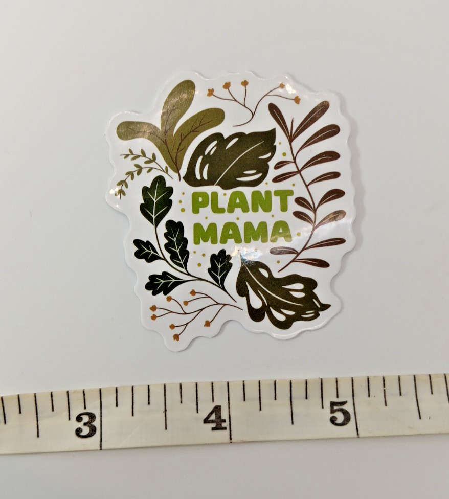 Plants-Succulent-Funny Humor Sarcastic Vinyl Sticker-Decal-NWOT-Free Shipping!