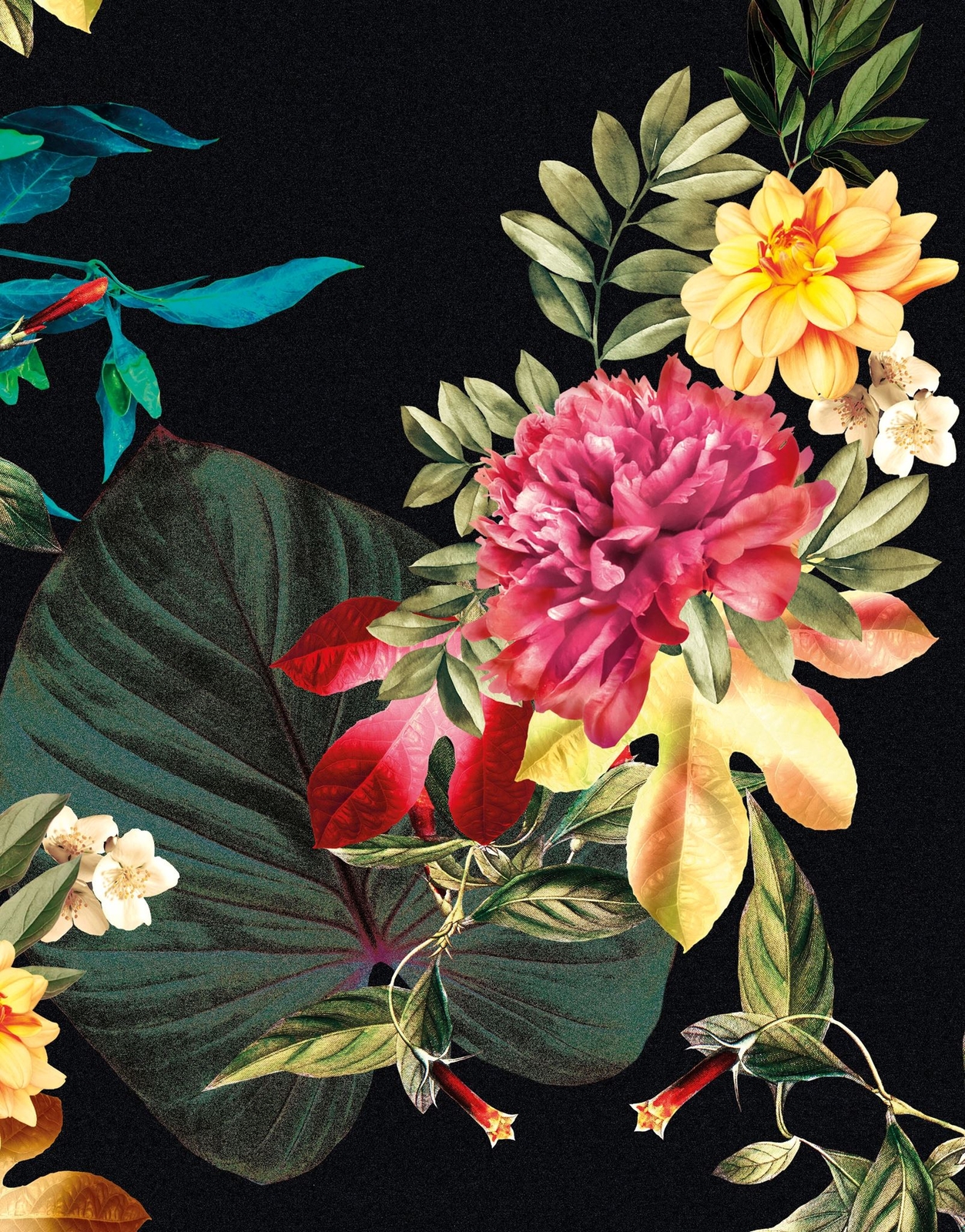 Tropical Flower Wall Mural. Paradise Botanical Flowers and Leave Black Backgroun