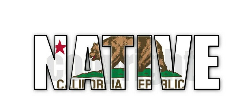California Native Flag Stickers Flag Decals Vinyl Indoor Outdoor Stickers