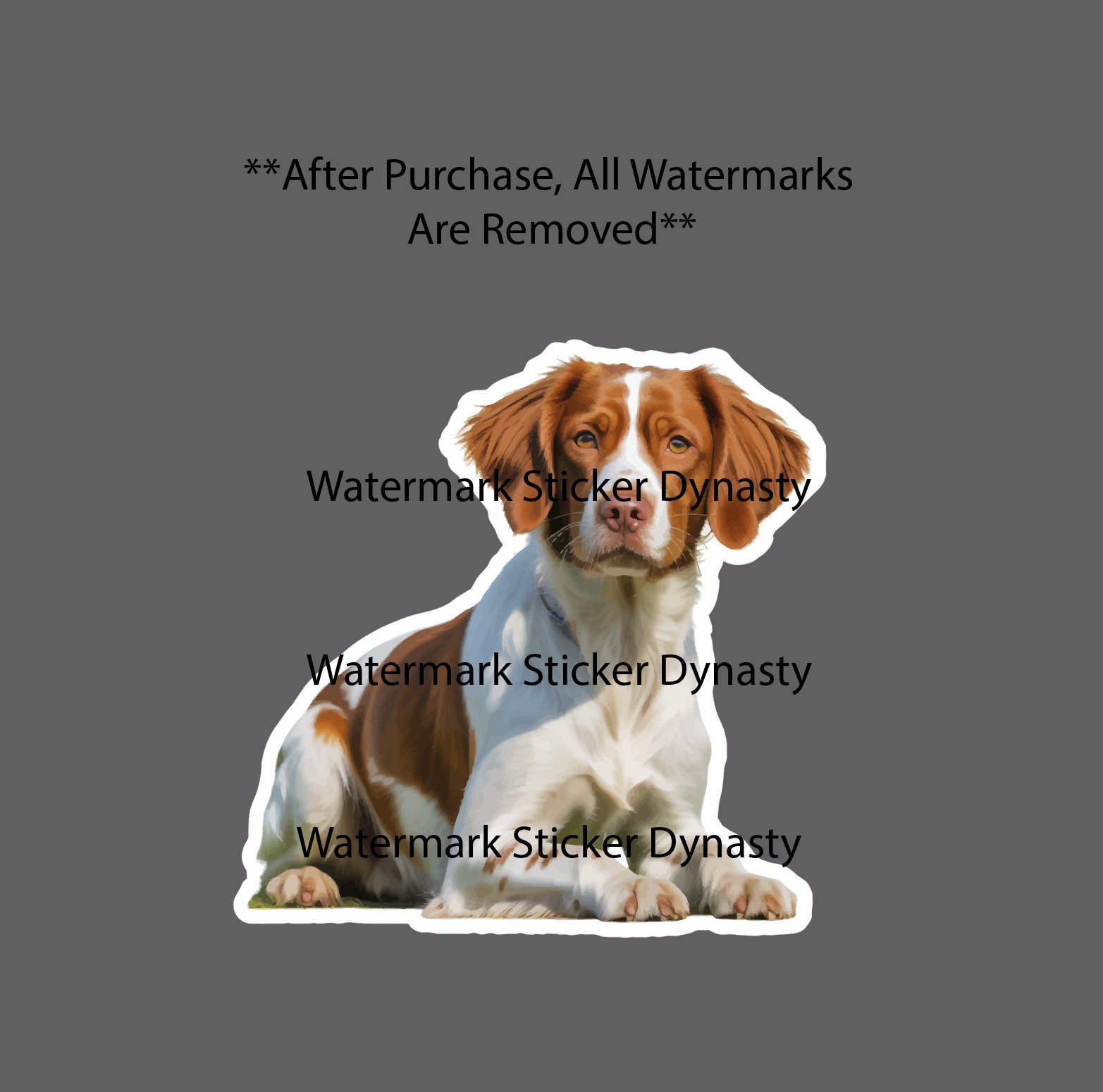 Brittany Sticker Waterproof Decal Dog Pet Animal Family Hunting Friend Gift NEW