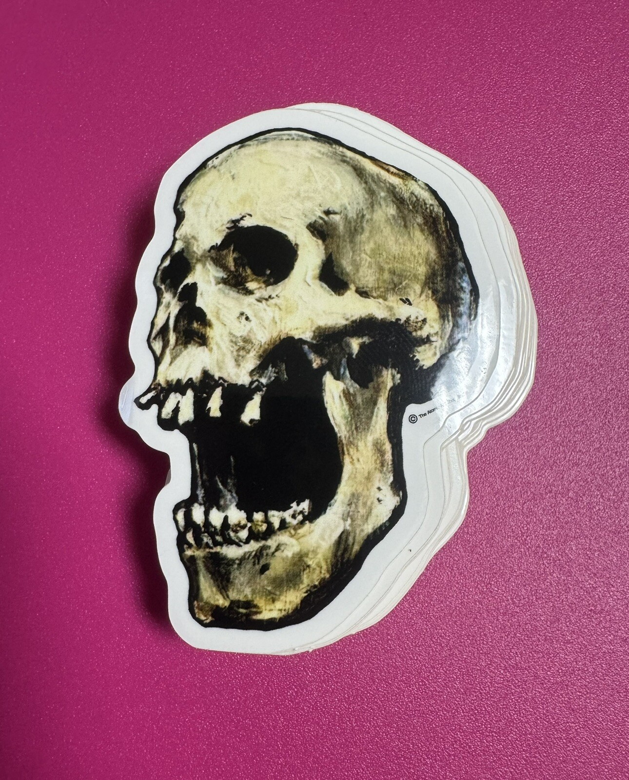 Skull Sticker!! Gloss Outdoor/indoor High Quality Thick Vinyl!