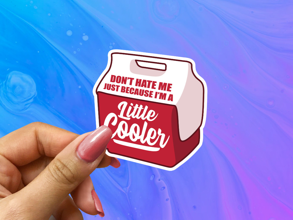Don't Hate Me Just Because I'm A Little Cooler Vinyl Sticker – Funny Cool Decal