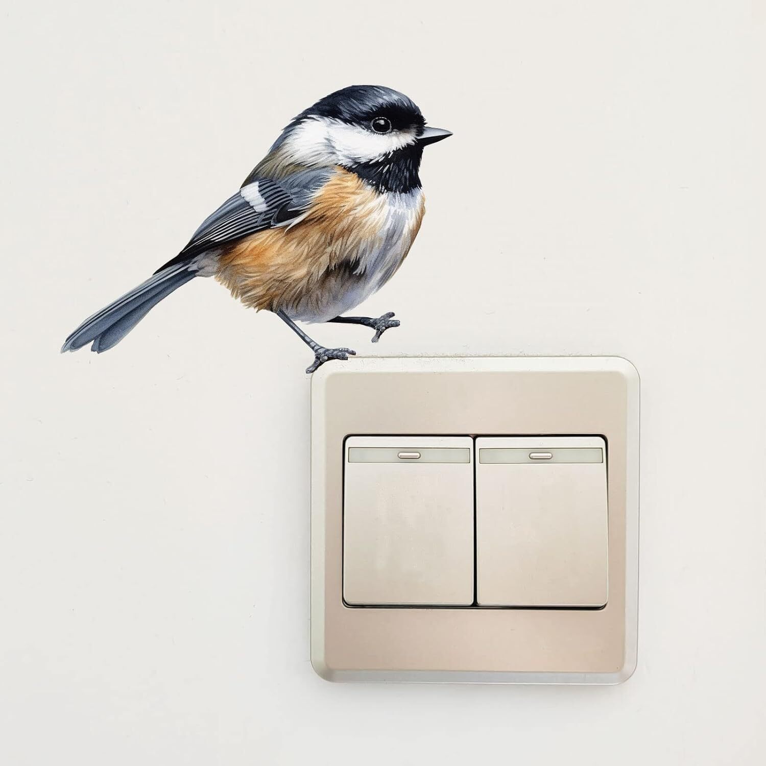 Black-Capped Chickadee, Wall Sticker, Bird Vinyl, Nursery Stickers, Medium