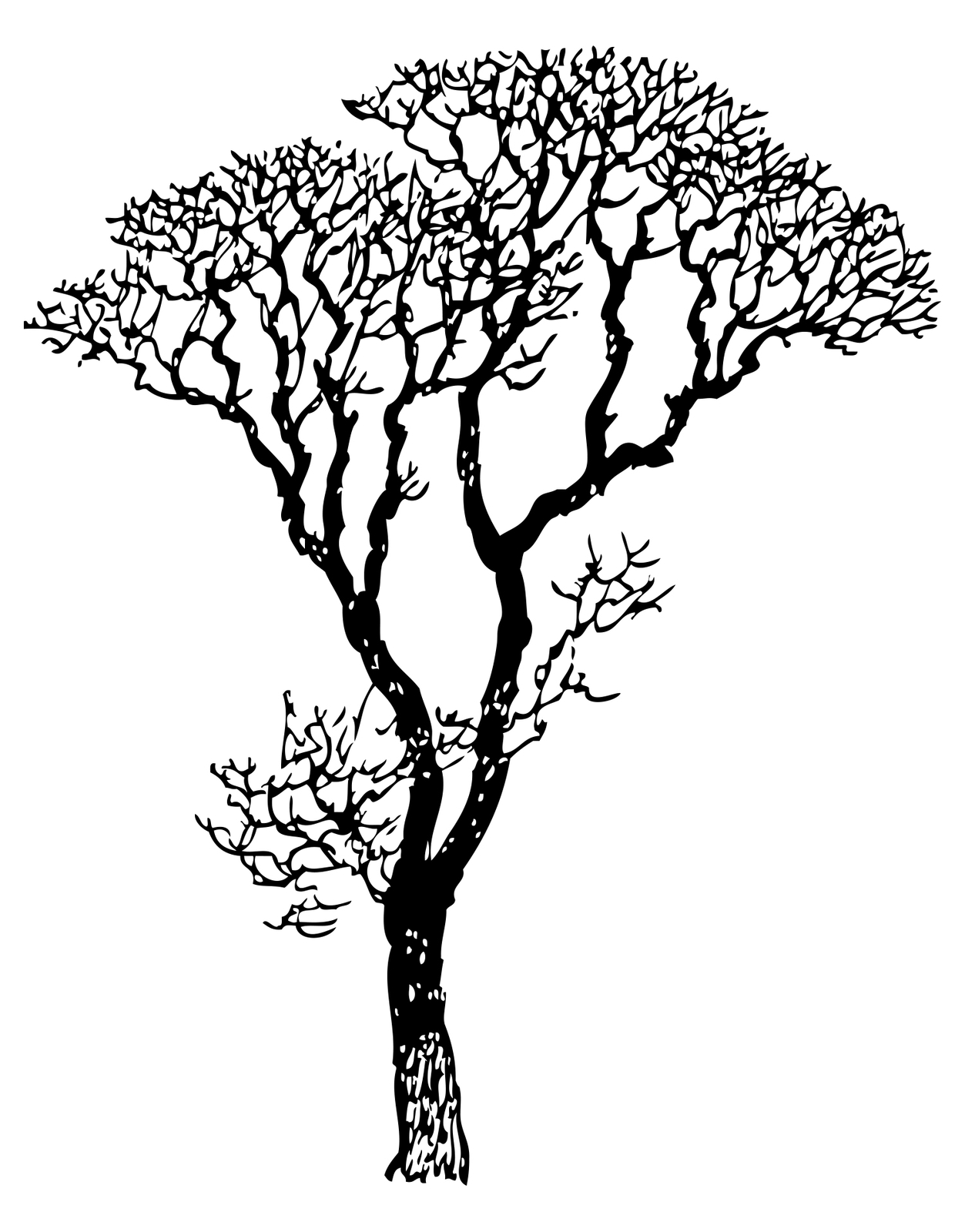 Bare Tree Wall Decal for Bedroom, Bathroom, Living Room, Nursery. #240