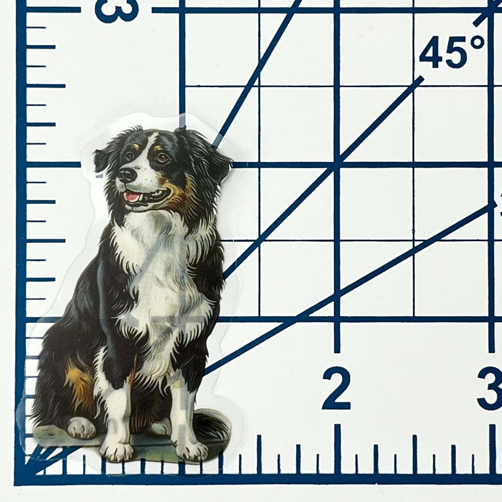 Victorian Border Collie Sticker Transparent Vinyl Dog Antique Style Ephemera