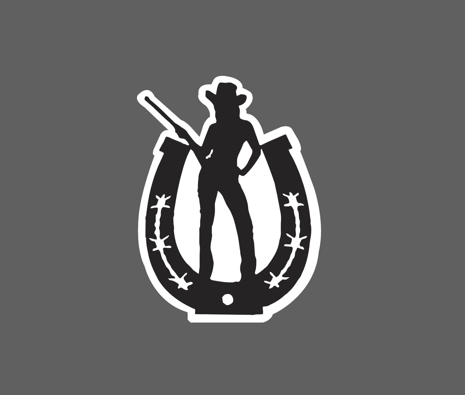 Cowgirl Sticker Horseshoe Waterproof NEW – Buy Any 4 For $1.75 EACH Storewide!