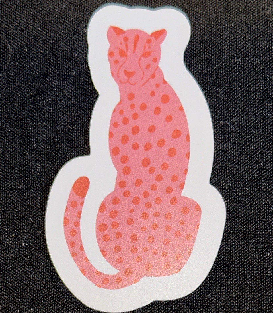 CHEETAH STICKER✨💖✨3” X 1 3/4”✨MARY SQUARE✨AWESOME✨💫