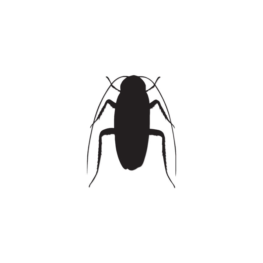 Roach Insect Pest Bug – Vinyl Decal Sticker – Multiple Colors & Sizes – ebn2900