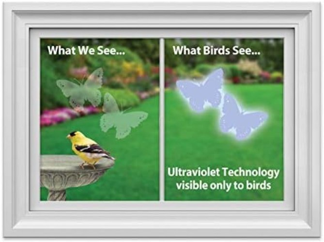 Semi-Transparent Butterfly Window Alerts – Eco-Friendly Bird Protection Decals