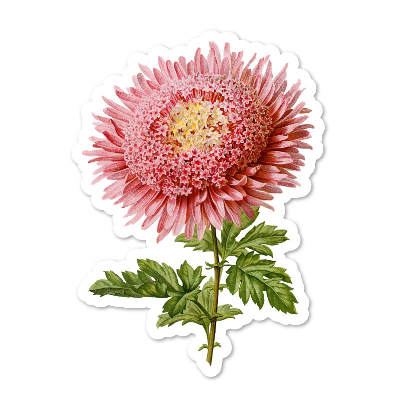 Pink and Yellow Chrysanthemums Vinyl Sticker, Scrapbooking, Laptop, 2 Sizes