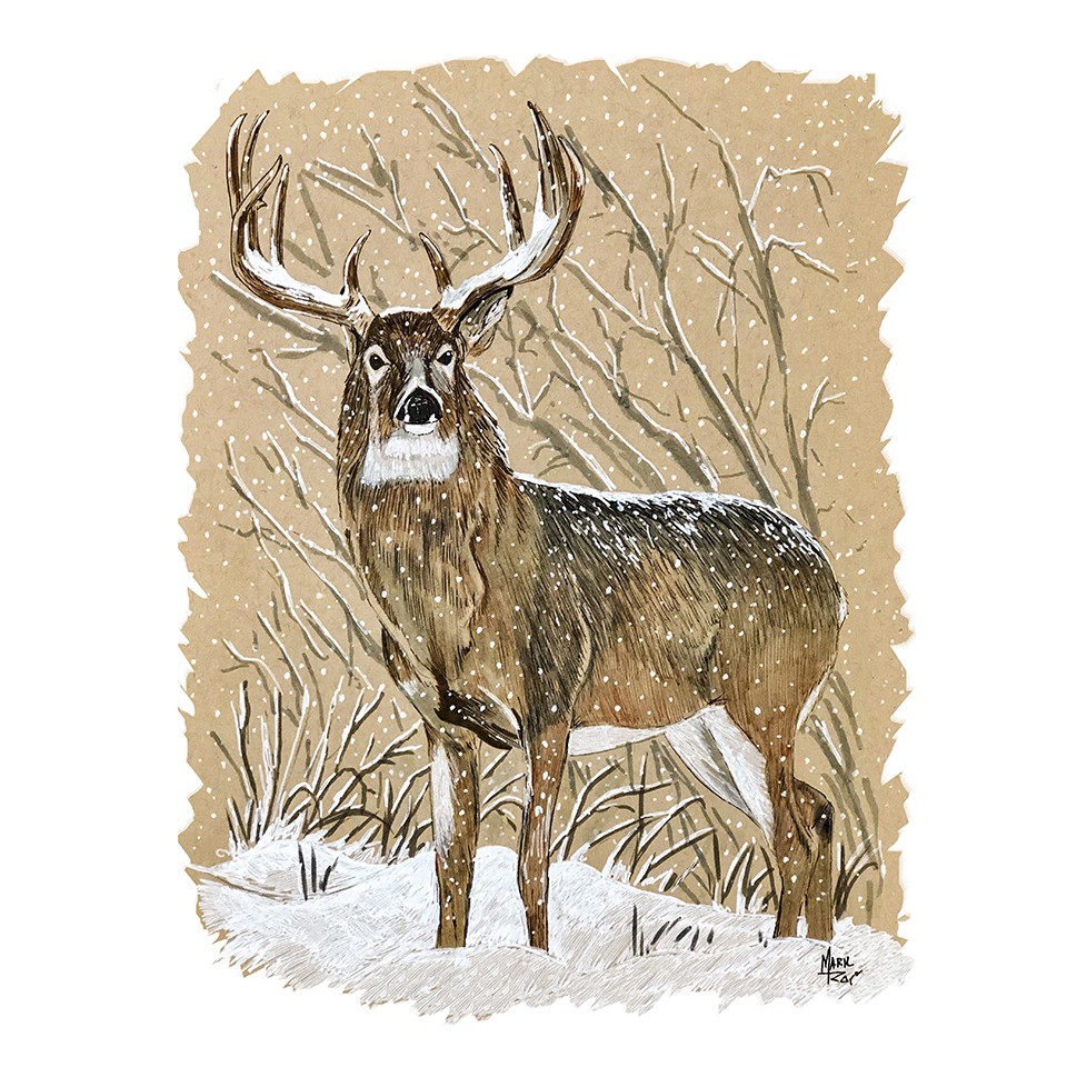 White Tail Deer in Wintry Forest – Printed Vinyl Decal Sticker – Car Truck RV